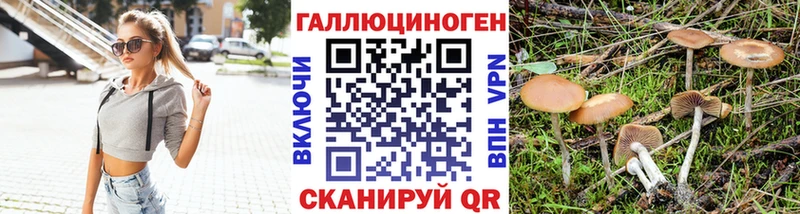 Купить  Ангарск  Псилоцибиновые грибы ЛСД 